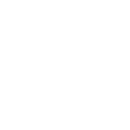 Offizielles Dexis-Logo für unsere Partner-Website